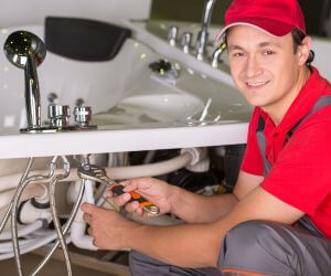 About Plumbers Pros Wilson, NY